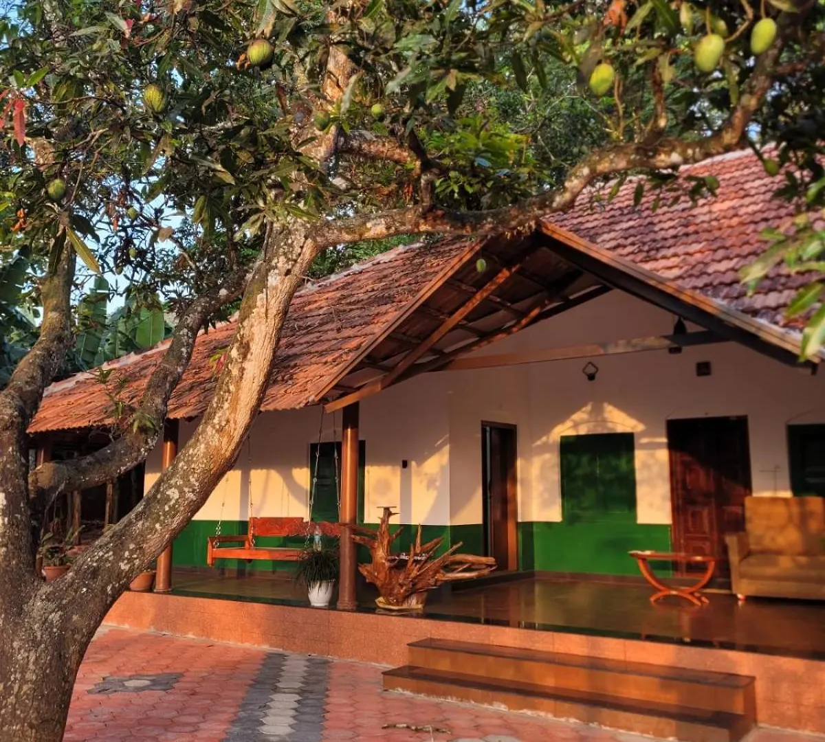 Ophel Homes Mananthavady