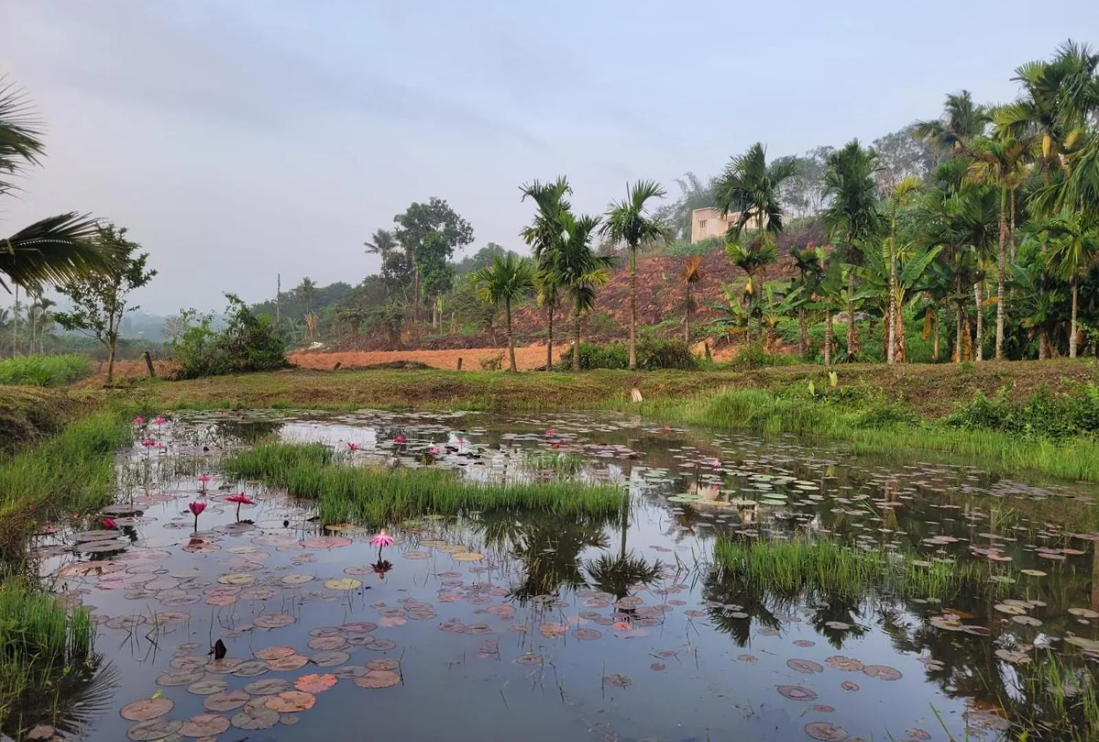 Ophel Homes Mananthavady 0*,  India
