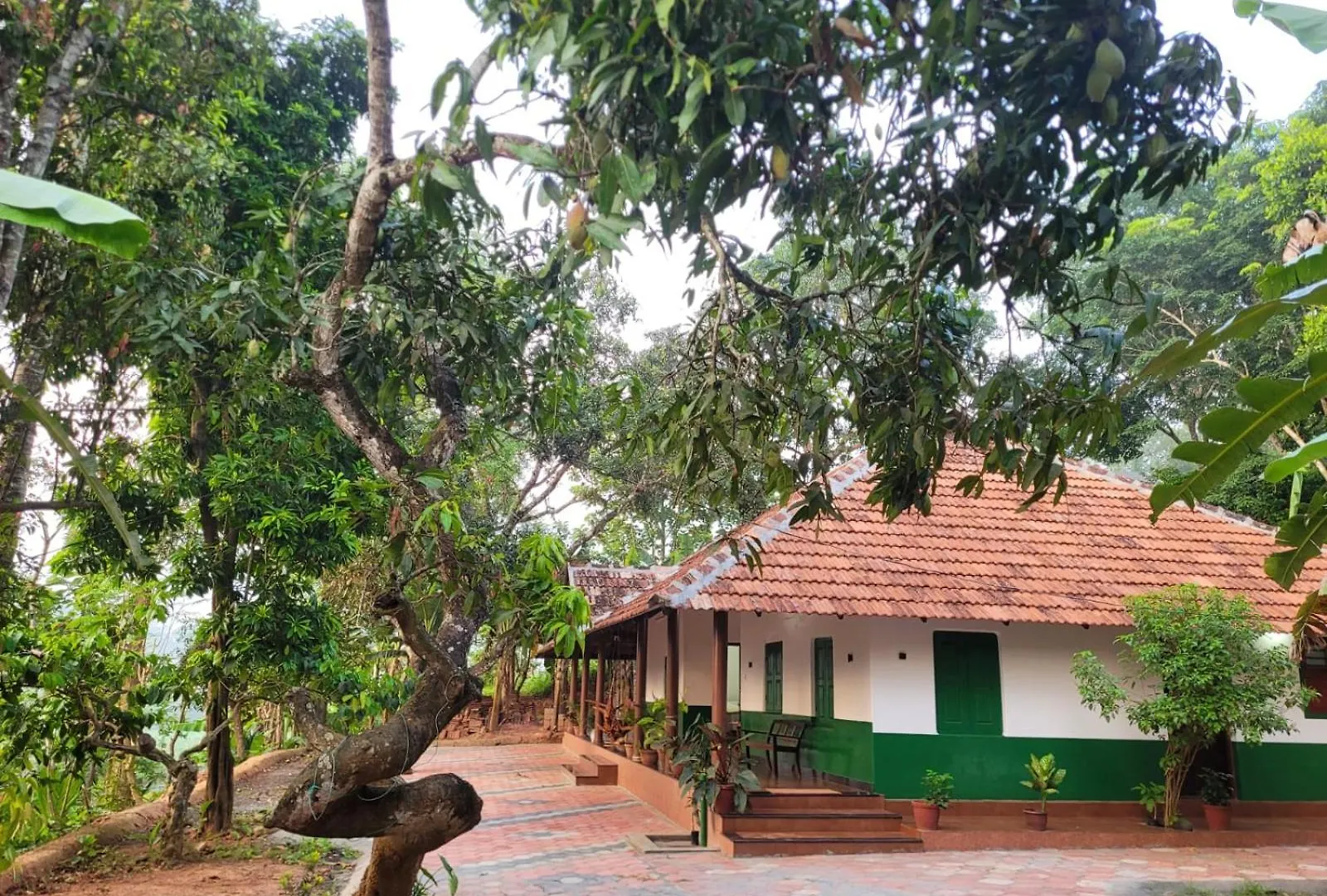 Alloggio in famiglia Ophel Homes Mananthavady India